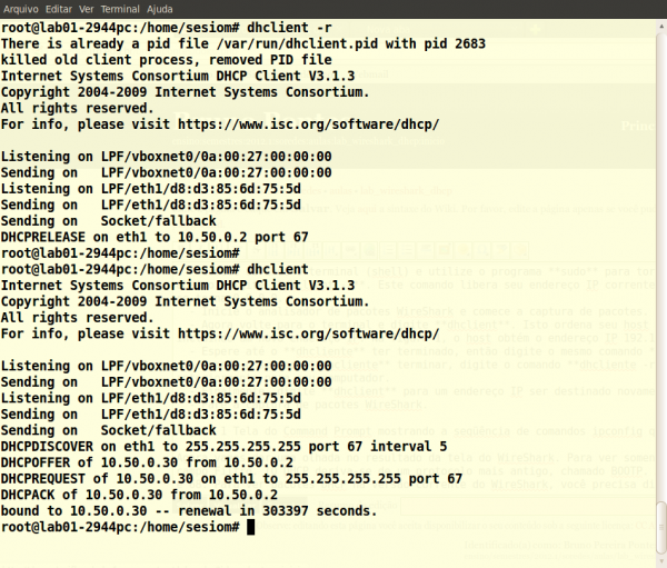 Tela do Terminal mostrando a seqüência de comandos dhclient que você deve digitar.